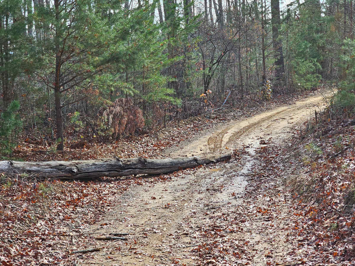 Railey Road photo 5