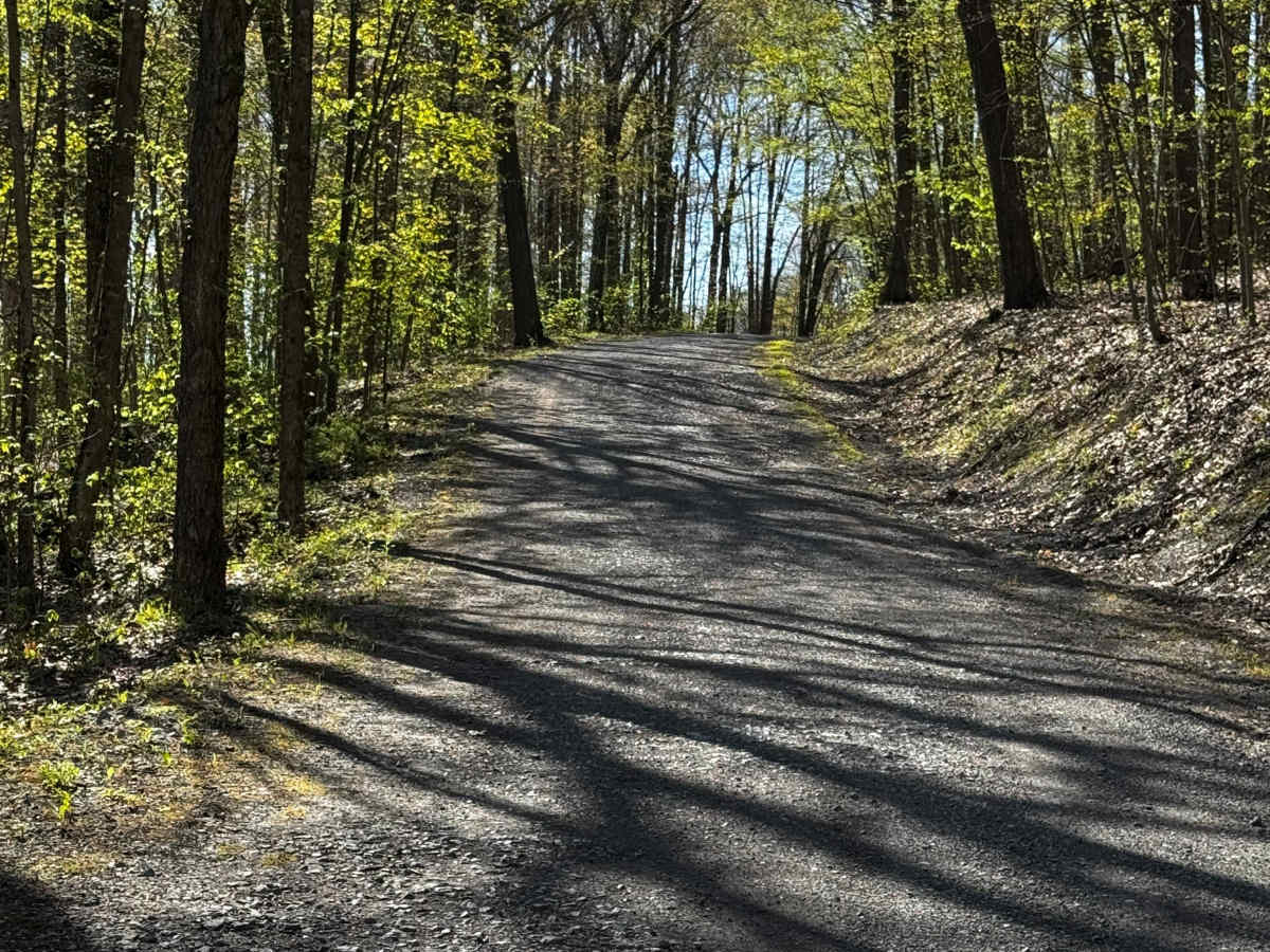 Weiss Grade Road photo 5