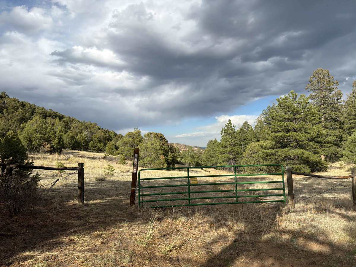 BLM 6170A photo 5