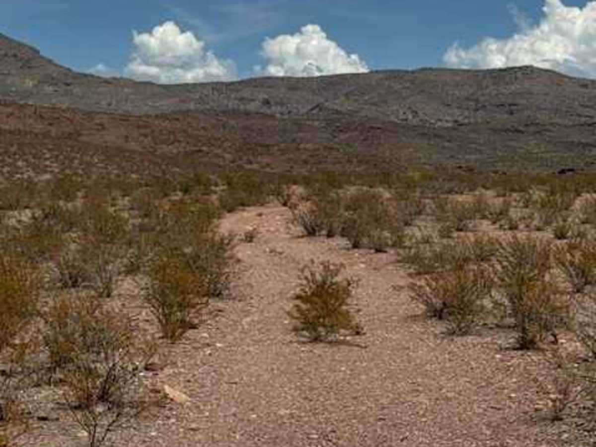 BLM PE1141 trail photo