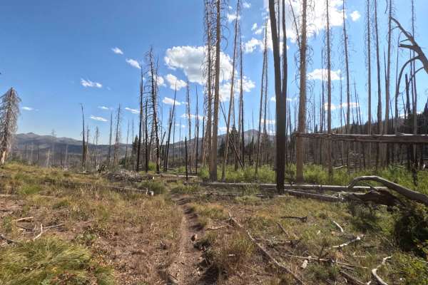 Placer Creek Trail - FS 7141
