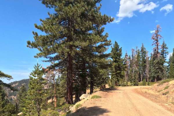 Upper Sky Ranch Road - FS 6S010A
