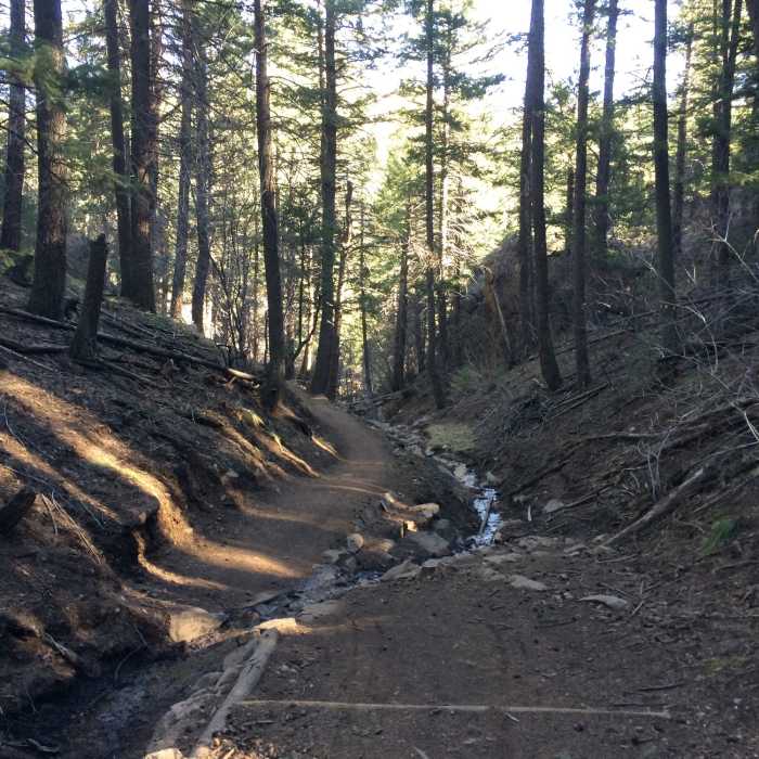 Near Enchanted Forest