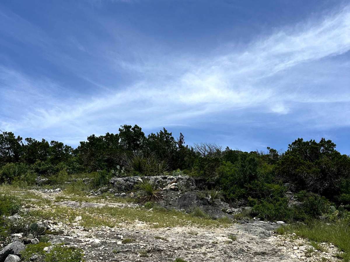 Tower Trail photo 4