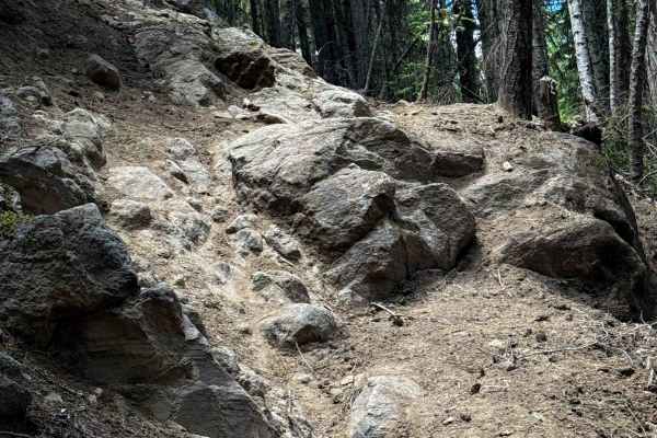 Middle Fork - 945 