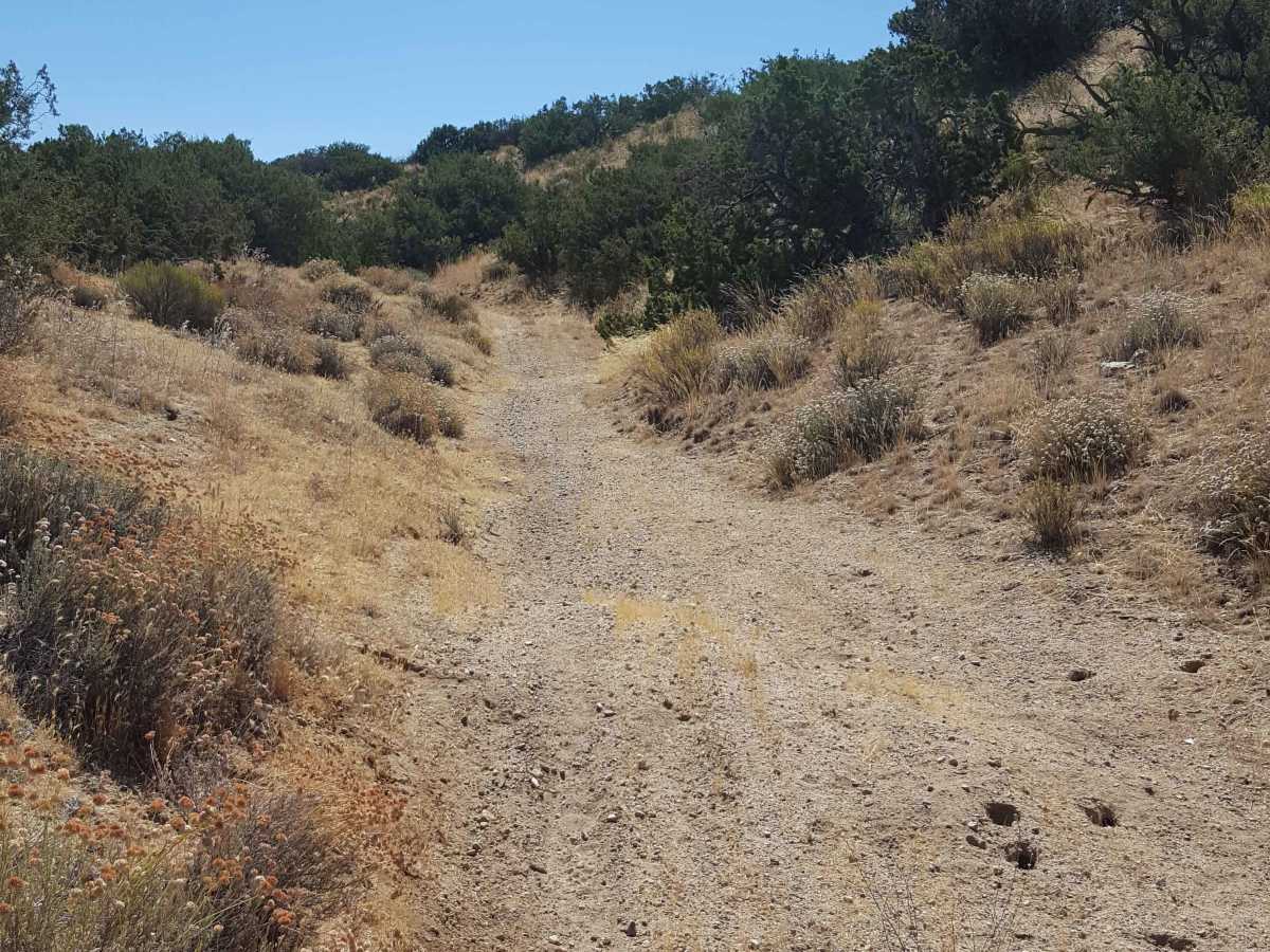 Trail 43 photo 2