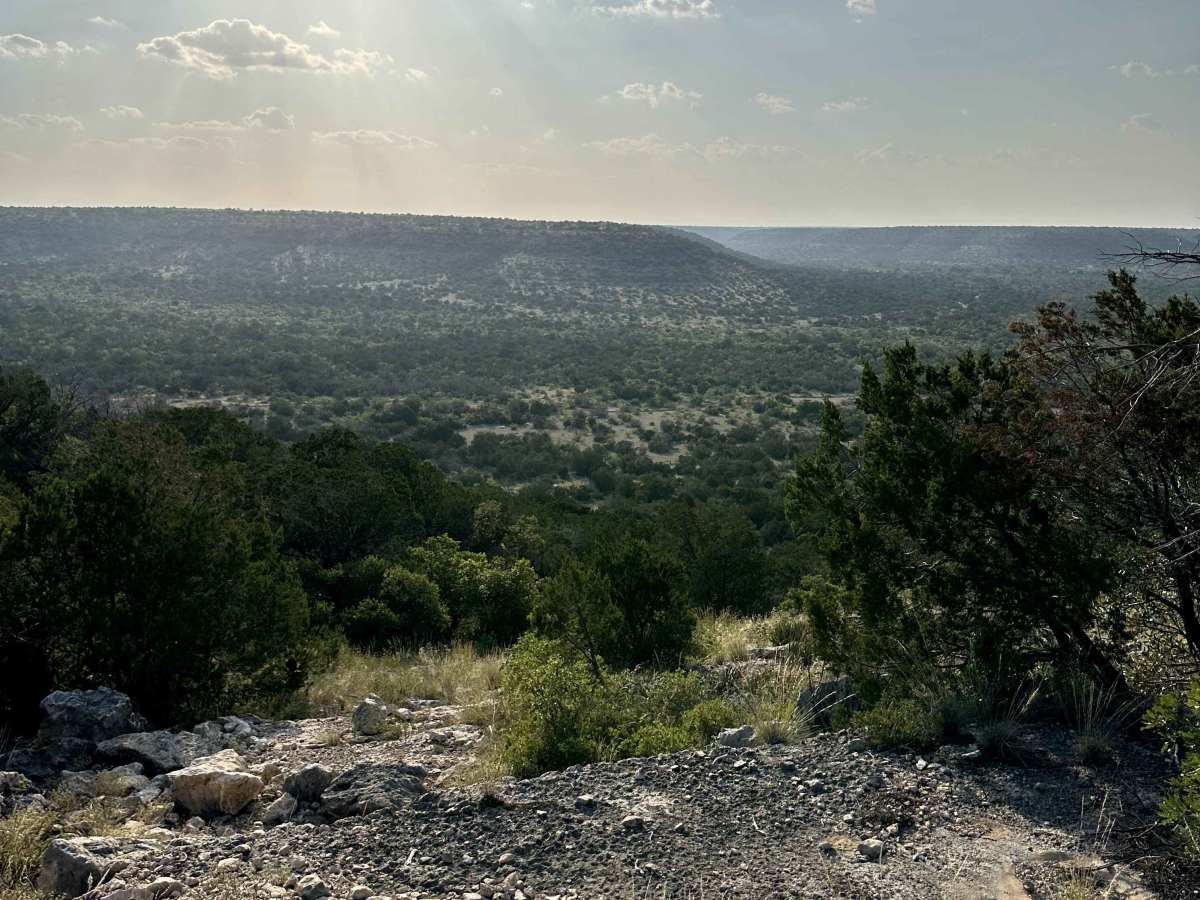 Drifter - V16 photo 2