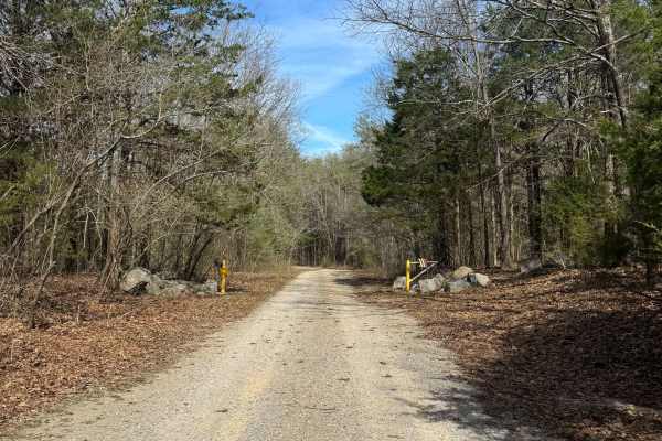 Lake Of Egypt Campground Drive - FS 871A