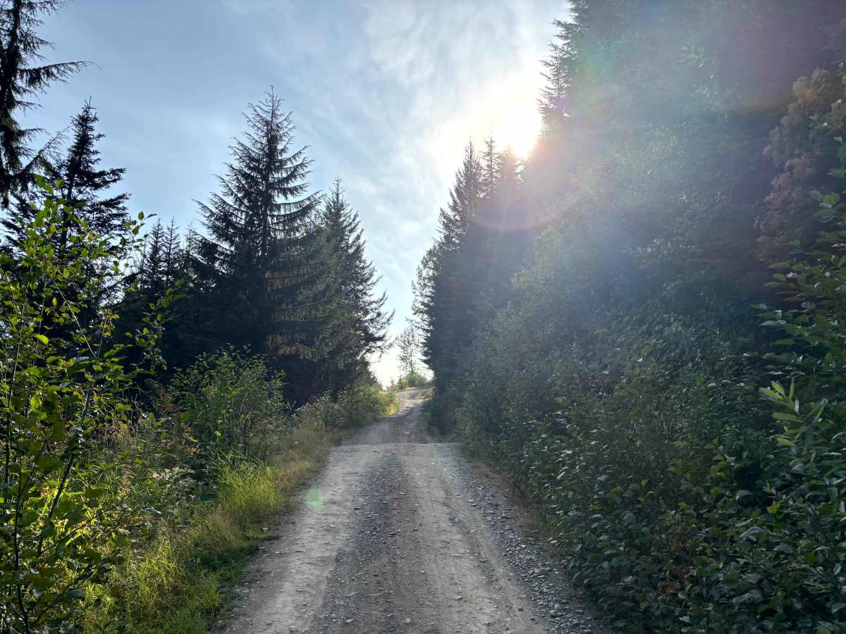 Mount Cheam Trailhead photo 6