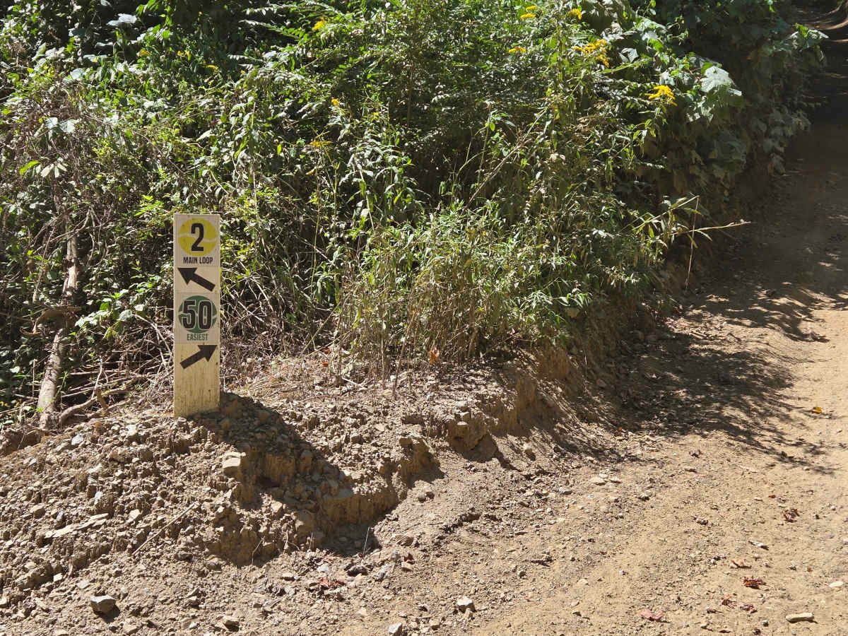 Trail 50  trail photo
