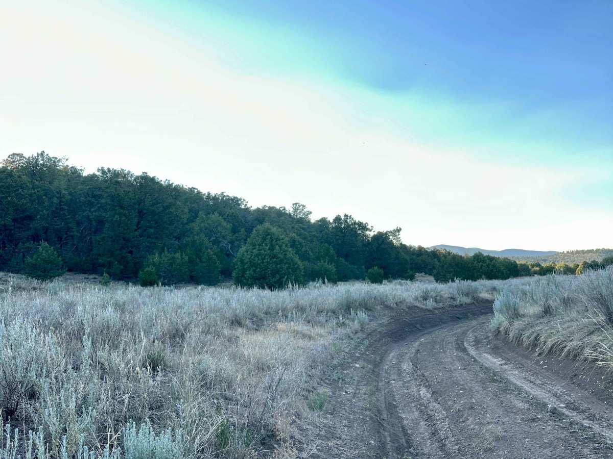 Meadow Ridge Alternate Pass photo 3