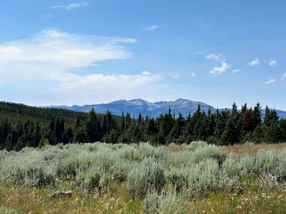 Mount Kobau photo 5