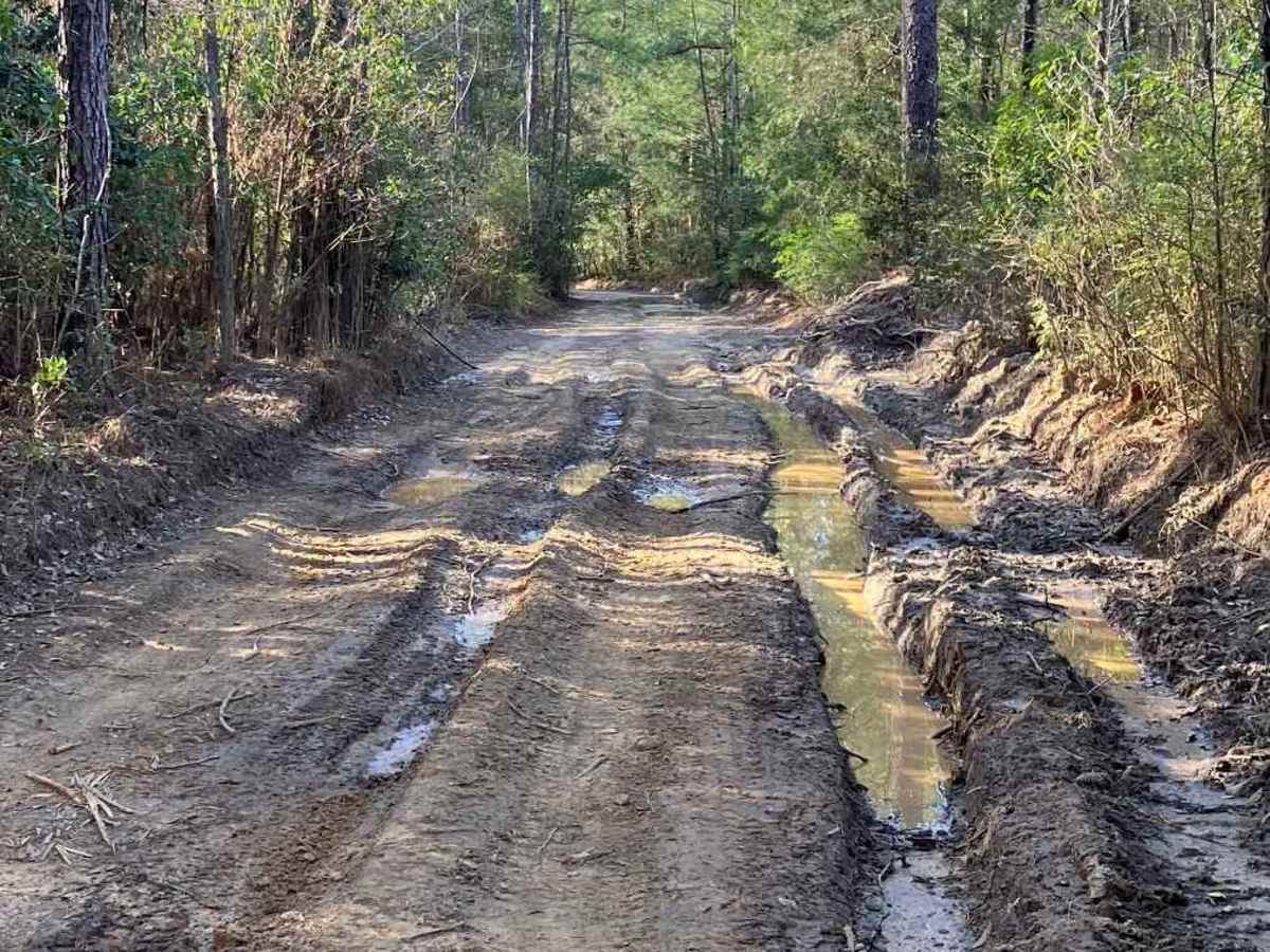 SR 119 photo 3
