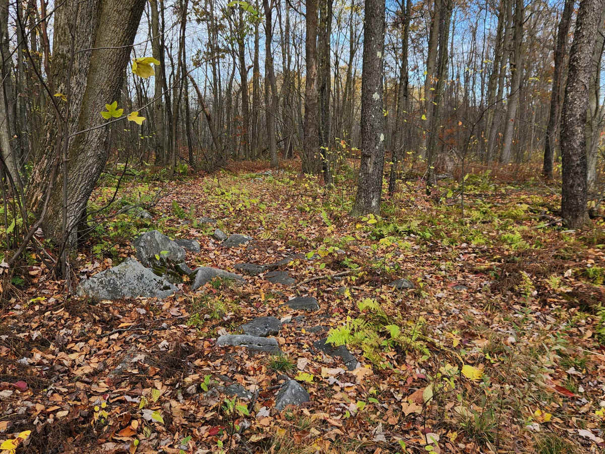 OHV 10 - Rock Run Recreation Area photo 4