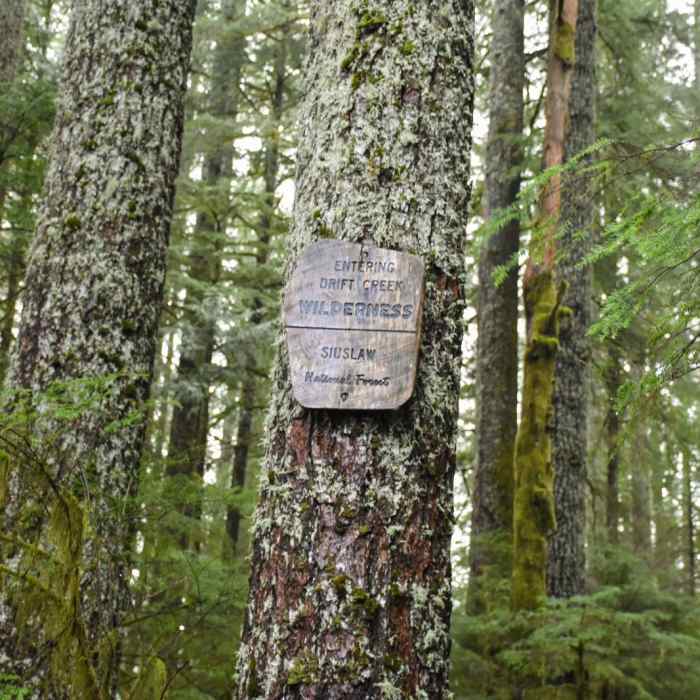 Near Horse Creek North/Drift Creek North Hike