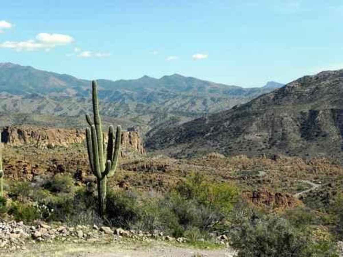 Devil's Canyon photo 3
