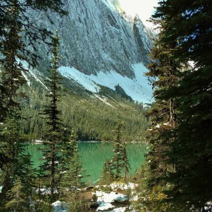 Near Sherbrooke Lake Trail