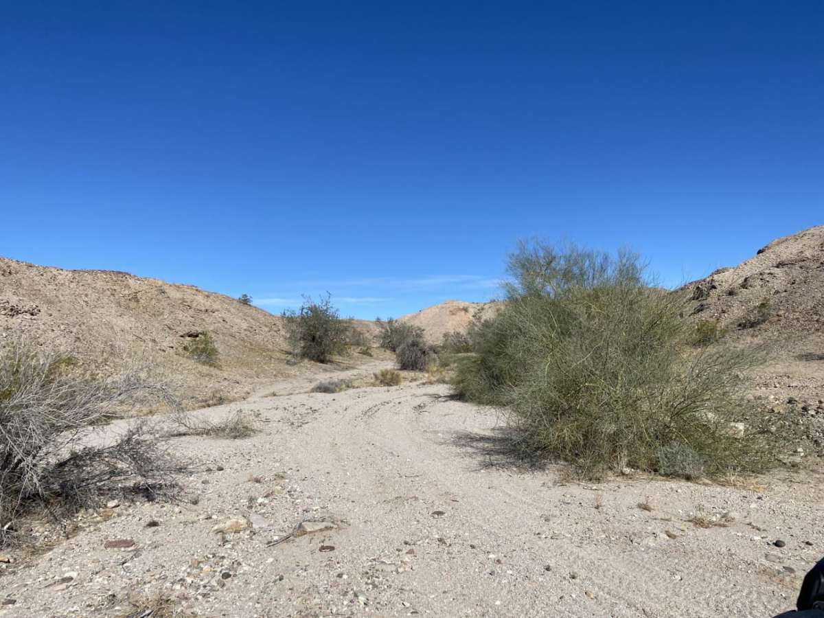 Picacho State Park Trail photo 4