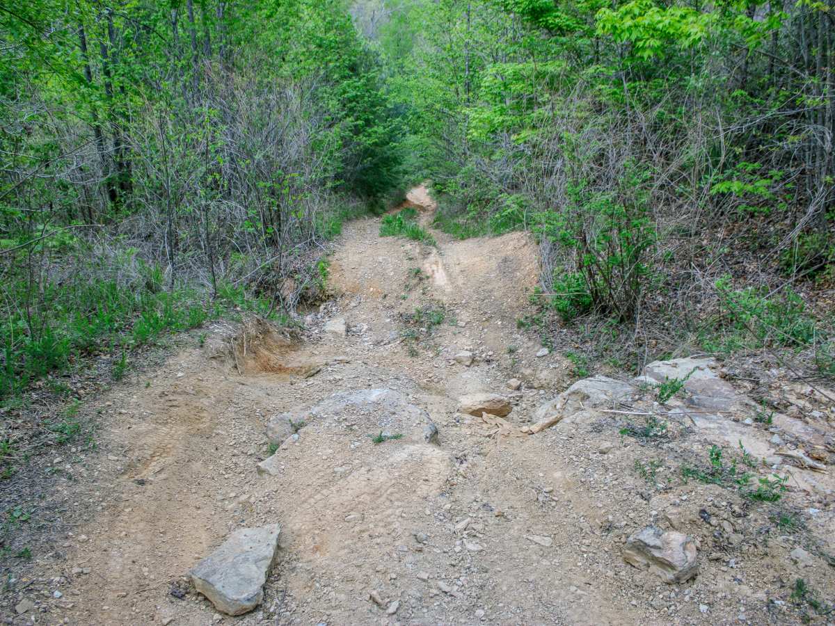 R59 photo 4