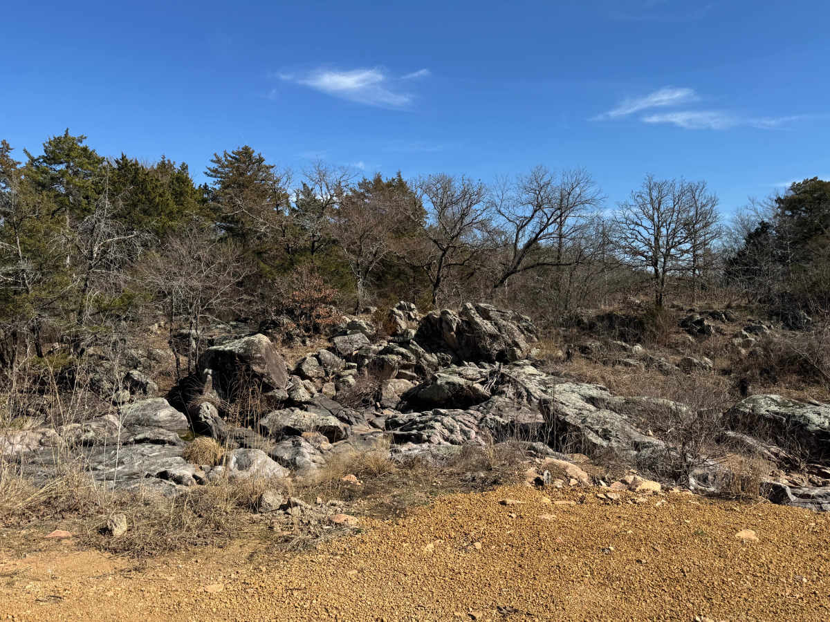 Area 1 Trail photo 5