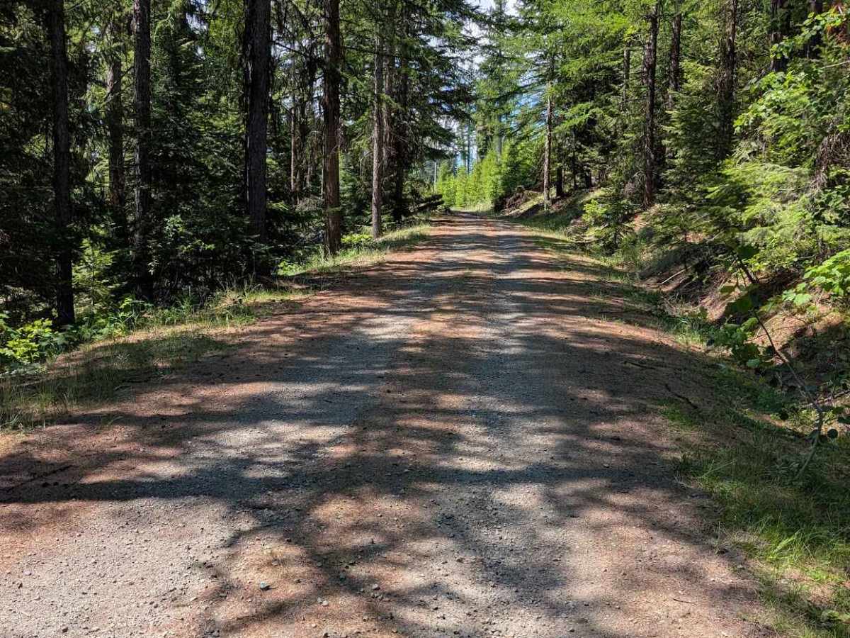 Gibson Creek Road photo 6