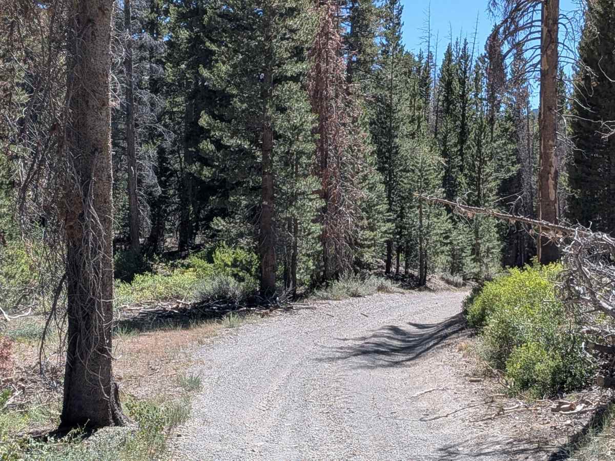 Dry Creek Road - FS3S22 photo 5