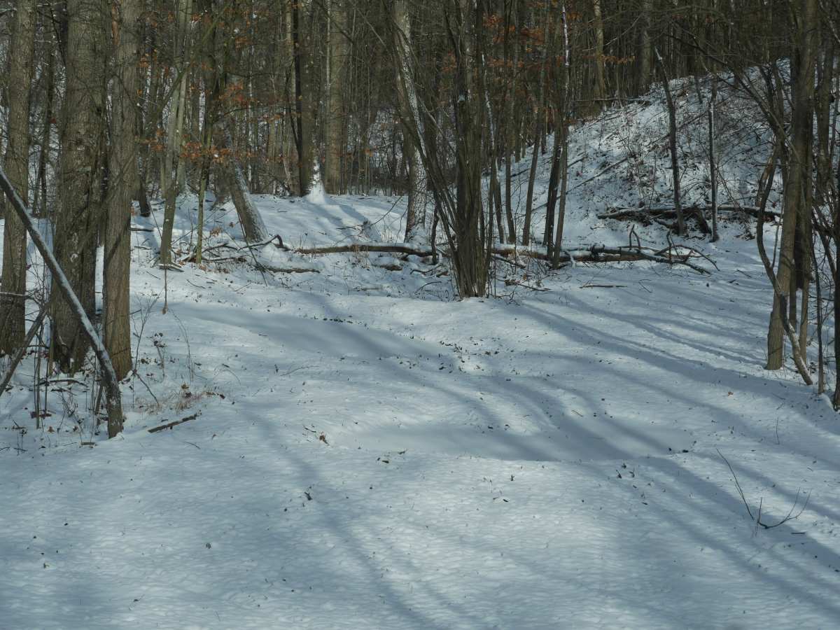Trail 30  photo 5