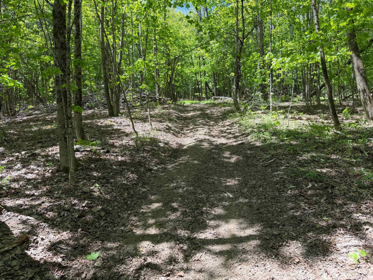 Grower Green Trail East - 3 photo 6