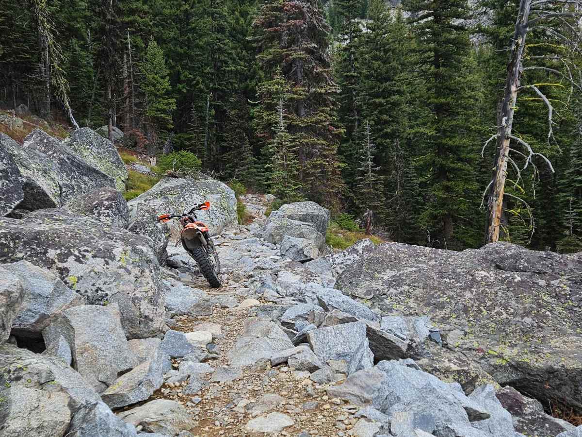 Camas Creek photo 2