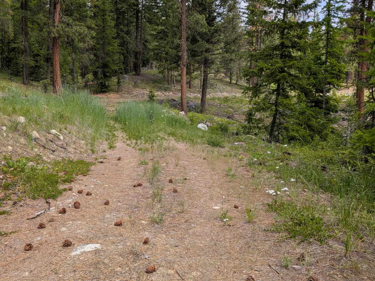 E332407T trail photo
