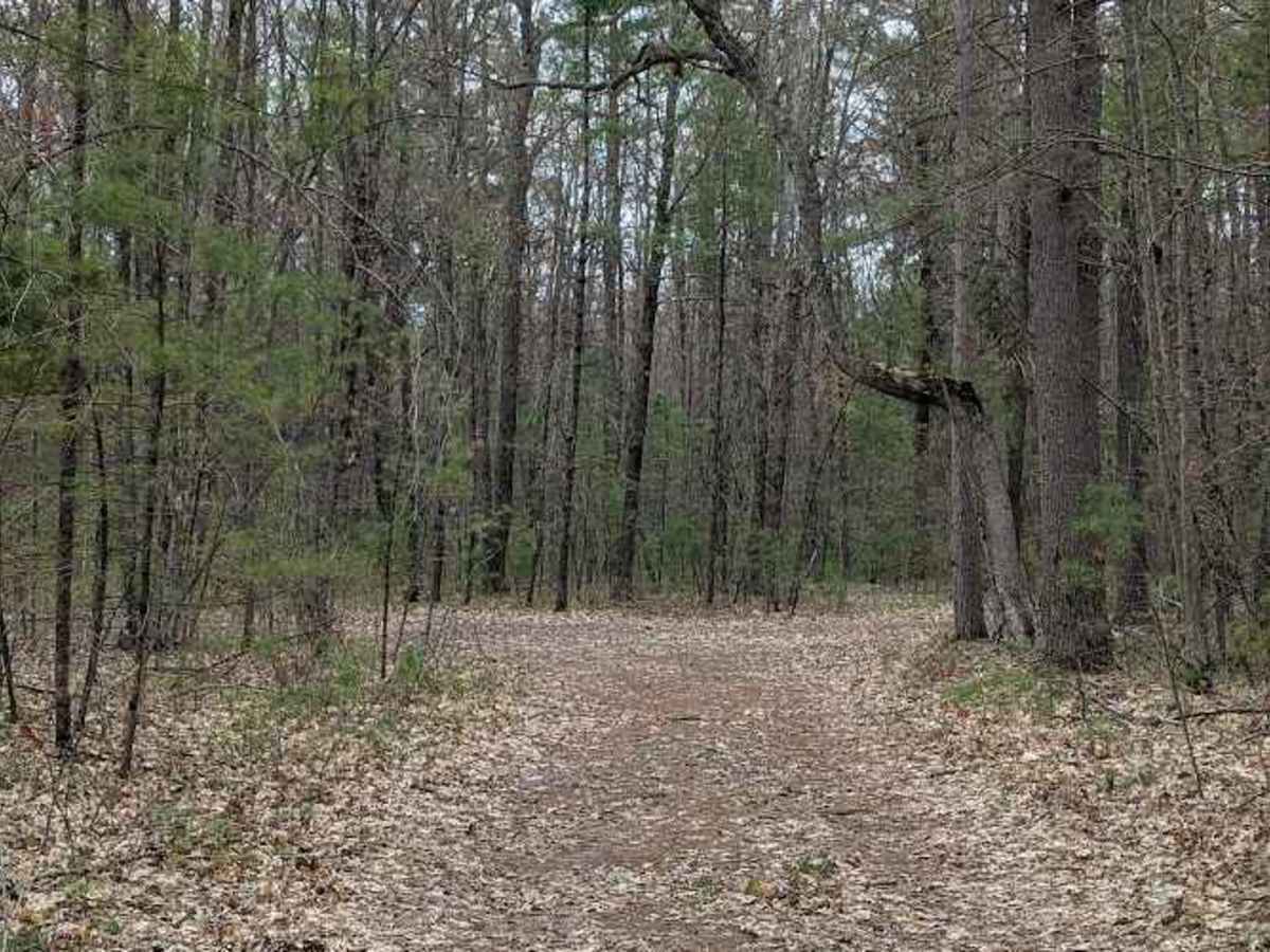 Rare Road trail photo