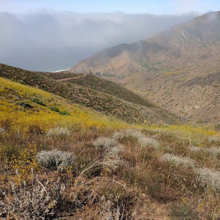 Near Sycamore Canyon Loop