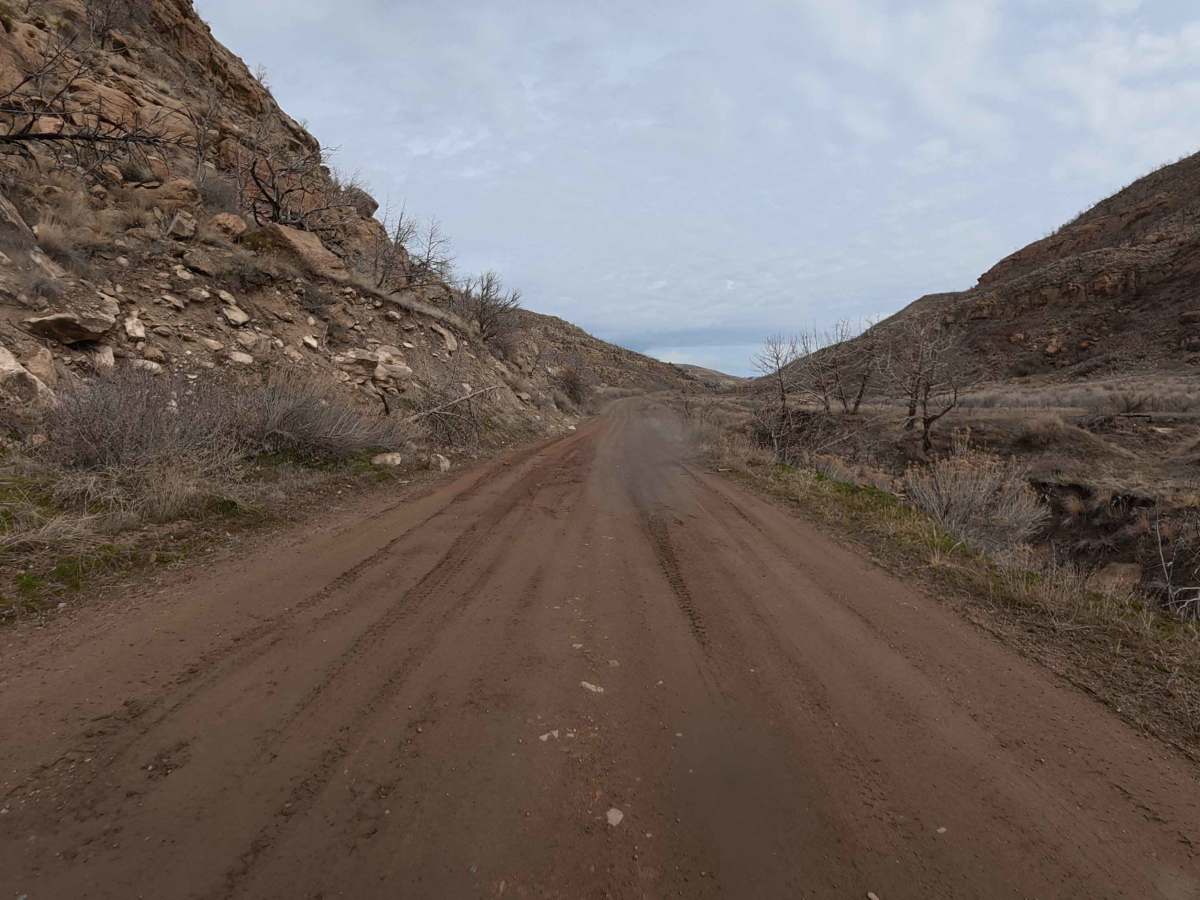 CR 205 photo 6
