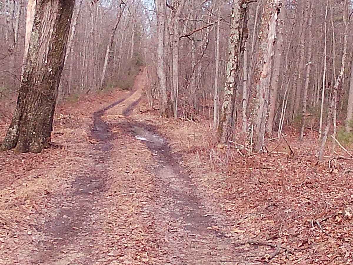 Zimmerman Road photo 5