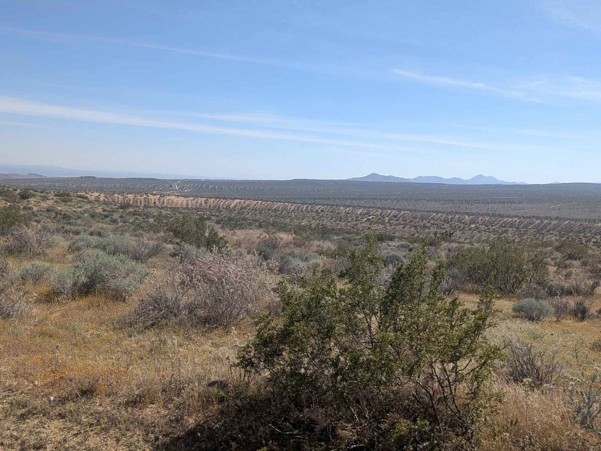 BLM SC129 photo 6