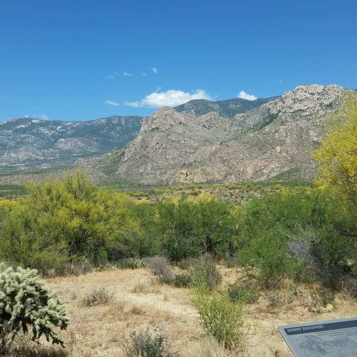 Near Sutherland Trail #6