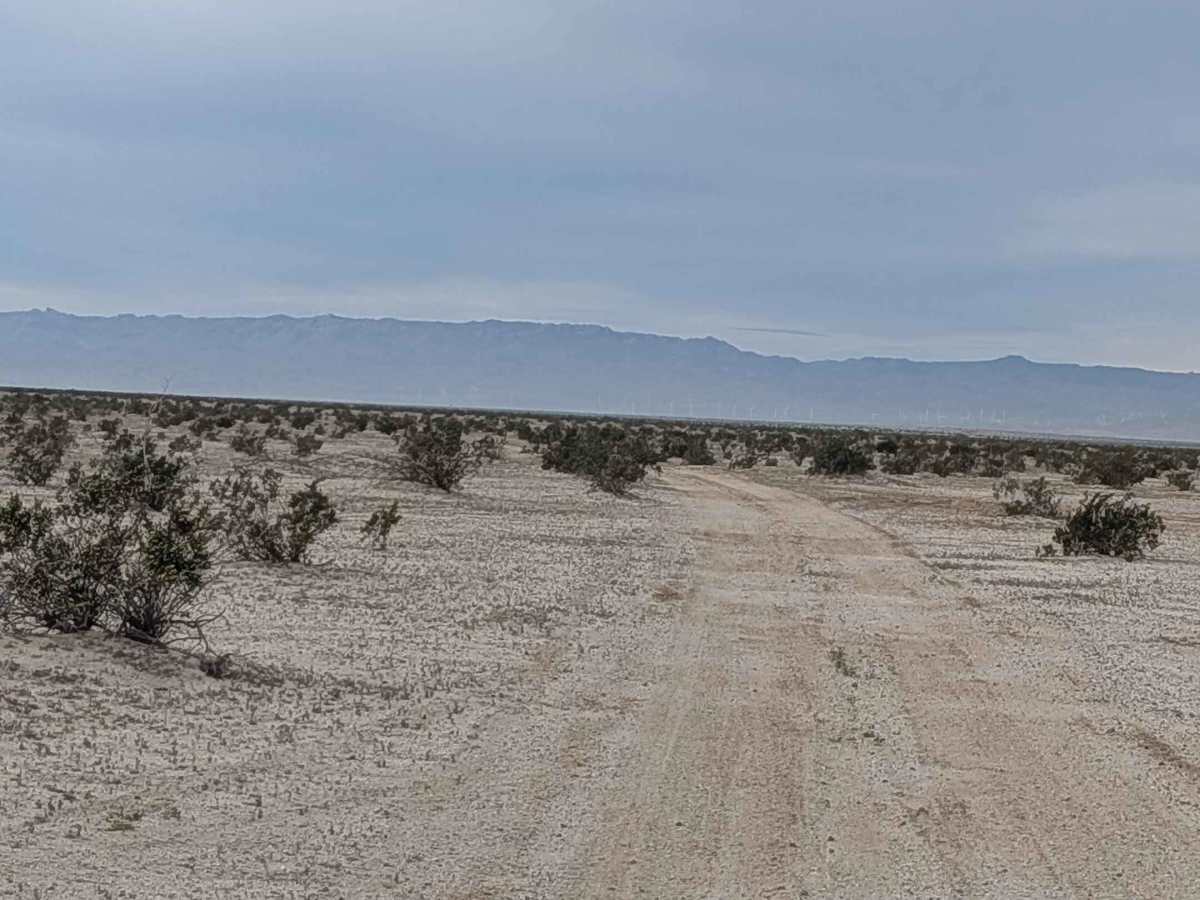 BLM 342 photo 5