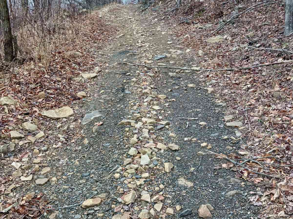 Trail 5 - Rock Run Recreation Area photo 5