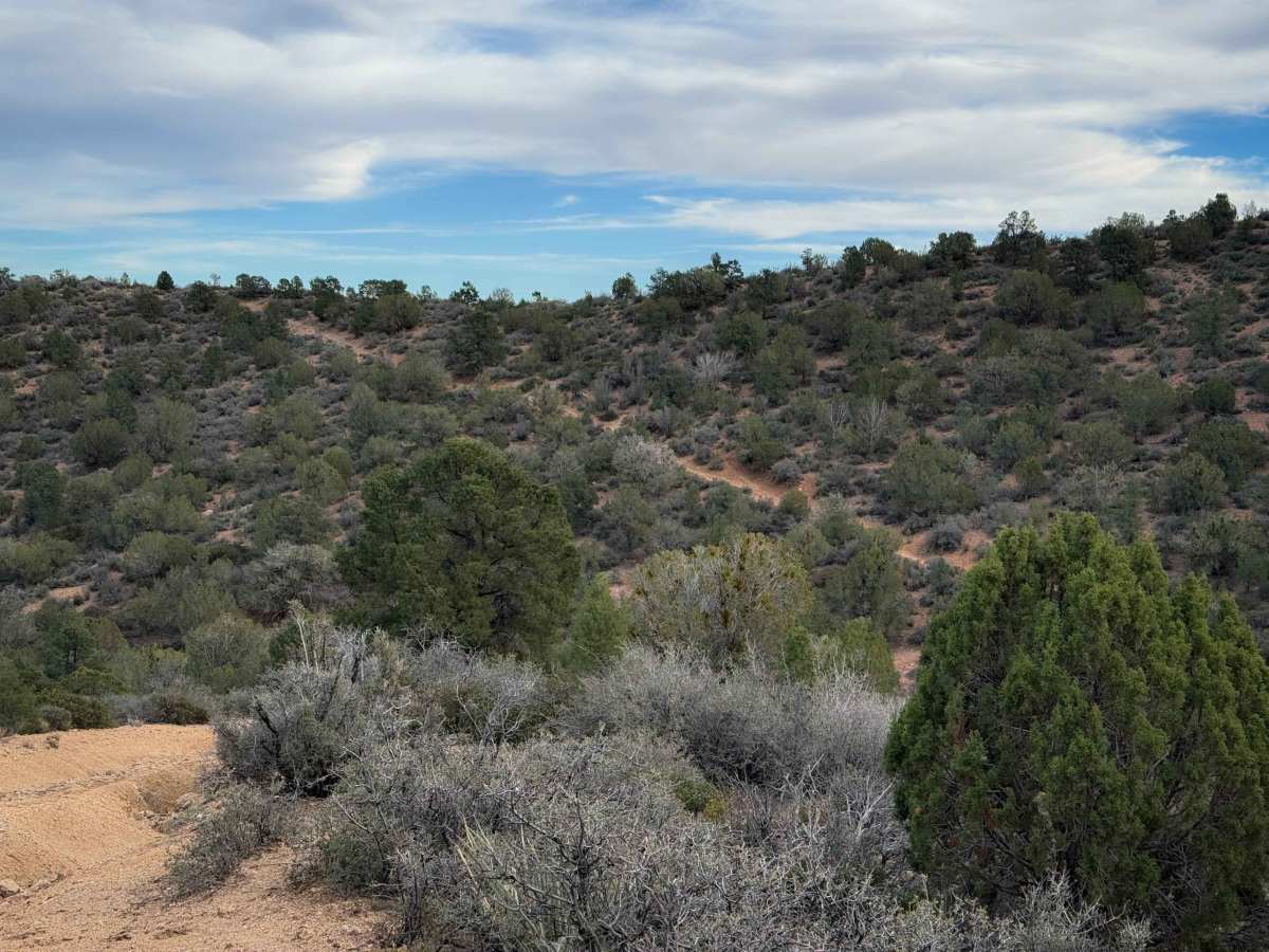 BLM Route 7188  photo 6