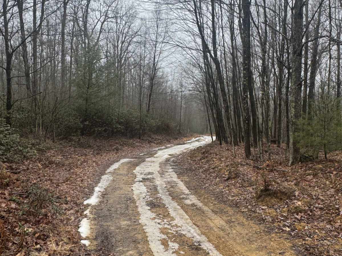 Cold Fork Trail photo 3
