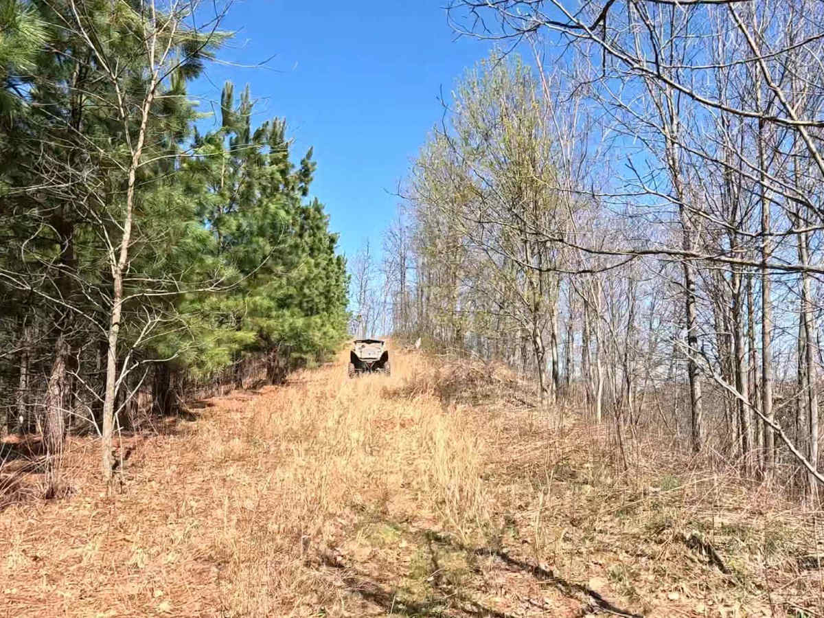 W18 trail photo