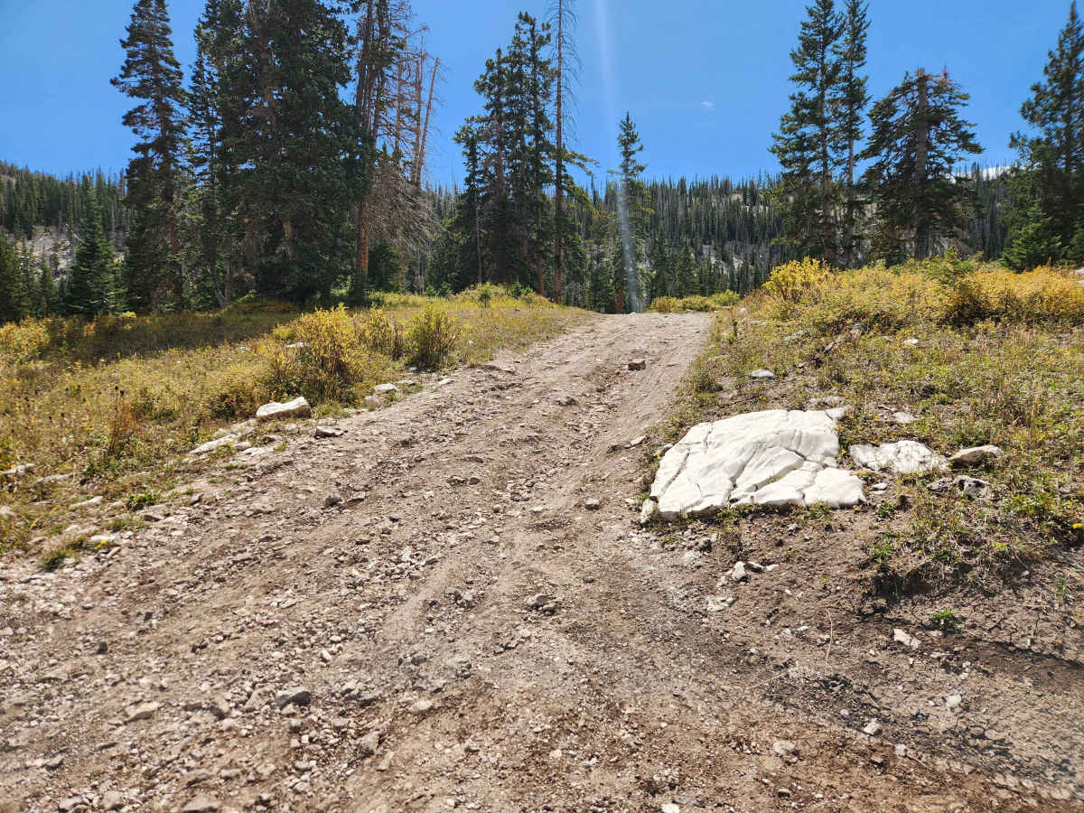 Emerald Lake - FS 50151 photo 6