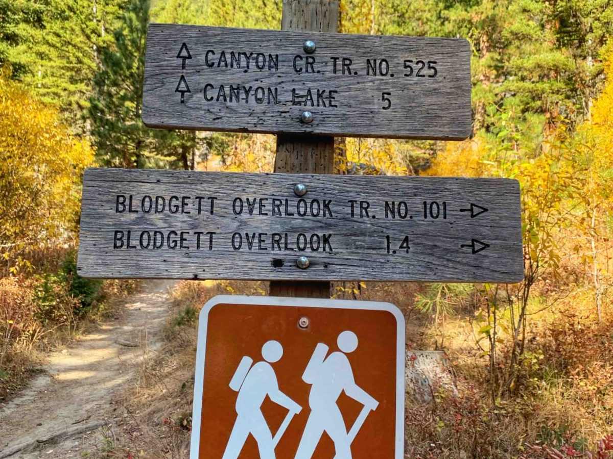 Blodgett Canyon Overlook photo 5