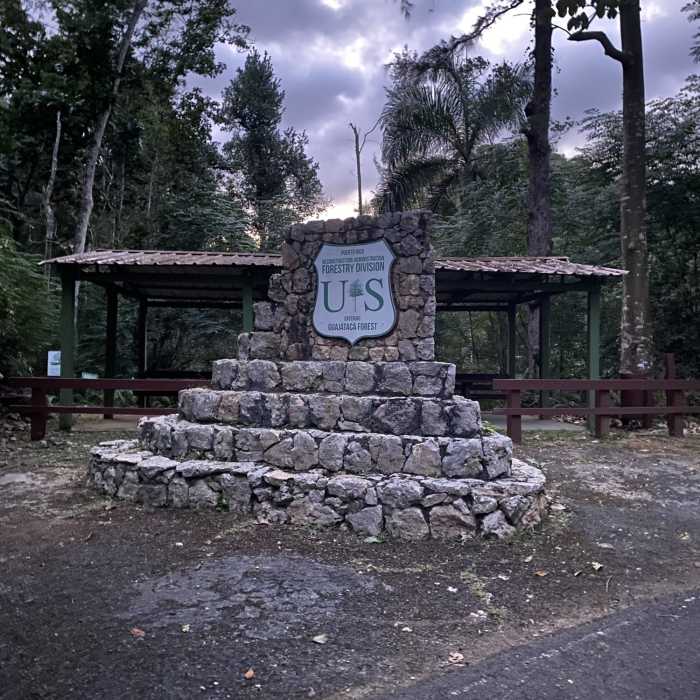 Near Interpretative Loop