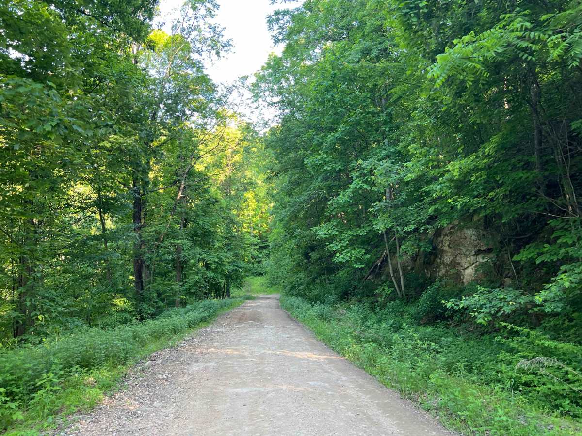 KC5 Five Mile Road photo 6