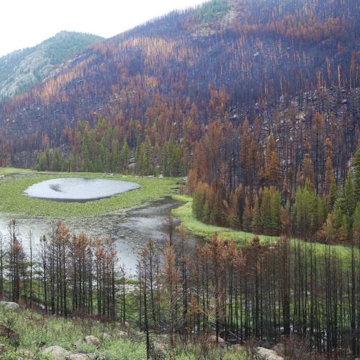 Near Mill Creek Trail