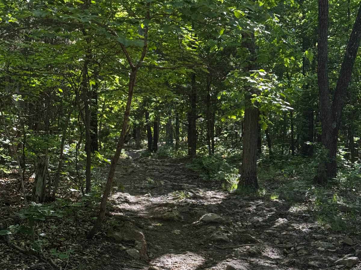 Inner Track 20 photo 3