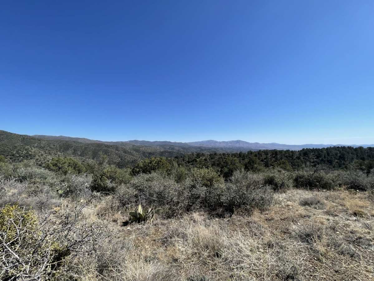 Lower Middlewater Creek trail photo