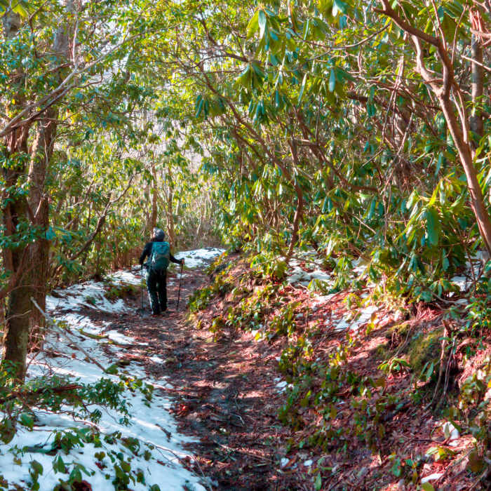 Near Bull Head Trail