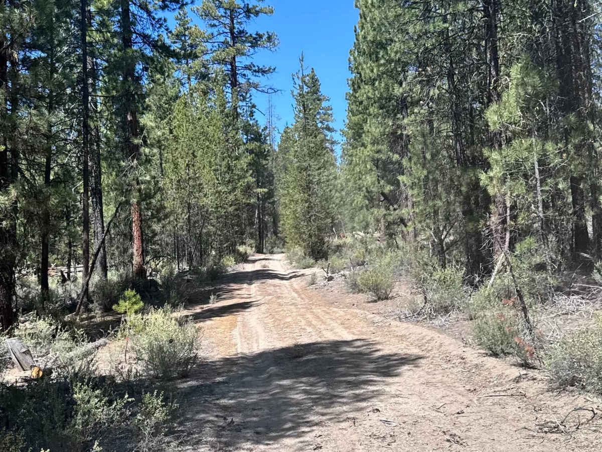 Dry Springs Trail - FS 4331000 photo 3